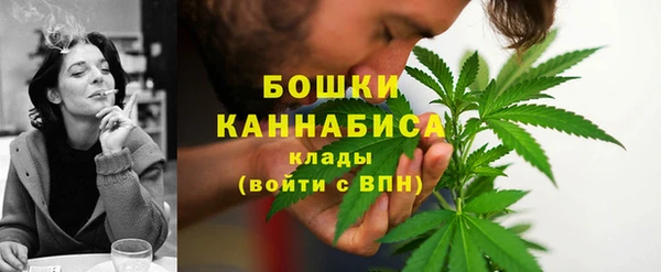 СК Зеленокумск