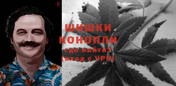 СК Зеленокумск